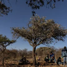 Rechaza comité de la ONU descalificaciones del Gobierno de México sobre informe de desapariciones