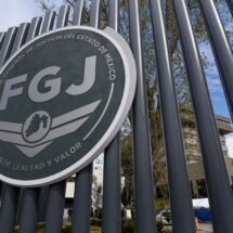Fiscalía del Edomex investiga a senadora Mariela Gutiérrez por sacrificio de 10 mil perros en Tecámac