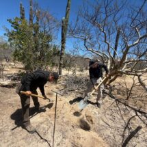 Hallan cinco fosas clandestinas en Arroyo El Cajoncito, La Paz