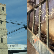 Municipios de Nuevo León y Coahuila impulsan obras, seguridad y atención social