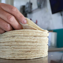Industriales y gobierno descartan aumento de tortilla; CNT insiste en ajuste de hasta 4 pesos