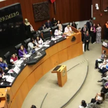 Agenda del Senado incluye ratificación de canciller y reforma sobre feminicidio