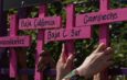 Avanza reforma para Ley General contra el feminicidio y se presenta iniciativa para representación juvenil