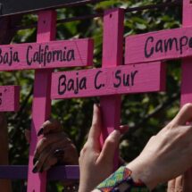 Avanza reforma para Ley General contra el feminicidio y se presenta iniciativa para representación juvenil