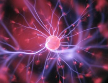 Desarrollan en España implante de grafeno que lee y modula señales cerebrales
