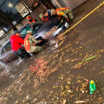 Bomberos de la CDMX retiran 20 árboles caídos en seis alcaldías por lluvias