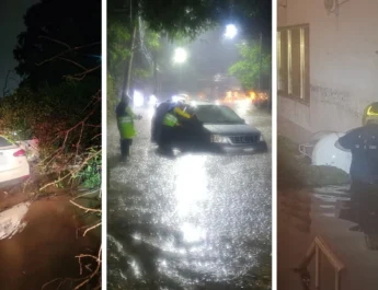 Activan alerta púrpura en Cuajimalpa por lluvias y granizo; árbol aplasta dos vehículos