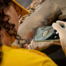 La inteligencia artificial se convierte en aliada clave para conservar la biodiversidad de América Latina