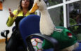 Merlín, el ‘pato mundialista’, se vuelve viral durante el Mundial 2026 en México