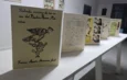 Exposición ‘Al balón le vale madres’ usa el fútbol para criticar problemáticas sociales en Coyoacán