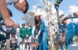 Gobernadora de Guanajuato encabeza reforestación y entrega obras en Abasolo