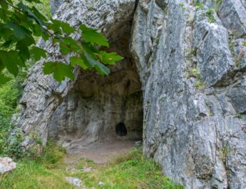 Estudio de ADN de neandertales tardíos cuestiona prejuicios sobre su extinción
