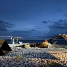 Restos de la ballena ‘Timmy’ serán convertidos en biodiesel y energía