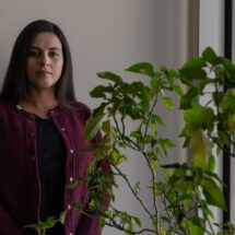 Administración Trump revoca ciudadanía a 17 naturalizados y endurece controles financieros