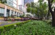 Lluvias en CDMX provocan caída de 56 árboles y activan Operativo Tlaloque 2.0