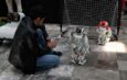 Realiza Secihti torneo de robótica FutBotMX en el IPN con 900 participantes