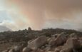 Incendio forestal binacional afecta 300 hectáreas en límites de Tijuana y Tecate