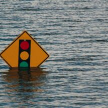 Descubren cementerio de ballenas en el Índico y alertan sobre aumento de inundaciones