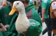 Ricardo Salinas Pliego invita al Pato Merlín y su familia al partido México vs Chequia