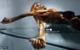 Científicos cultivan levadura de la momia Ötzi y logran hornear pan