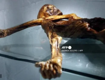 Científicos cultivan levadura de la momia Ötzi y logran hornear pan
