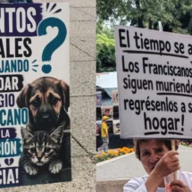 Protestan frente a Reforma 222 por devolución de animales del Refugio Franciscano