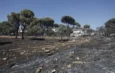 Evacúan a más de 10,000 personas por tres incendios activos en la Comunidad de Madrid