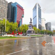 Activan Alerta Amarilla por lluvias en ocho alcaldías y árbol de 15 metros colapsa en Gustavo A. Madero