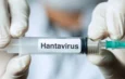 OMS declara fin del brote de hantavirus en el crucero MV Hondius