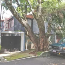 Despojo de inmuebles en CDMX genera ganancias equiparables al narcomenudeo: Notario