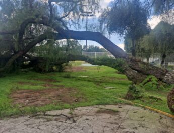 Daños en Zacatenco exhiben la crisis de mantenimiento que enfrenta el IPN